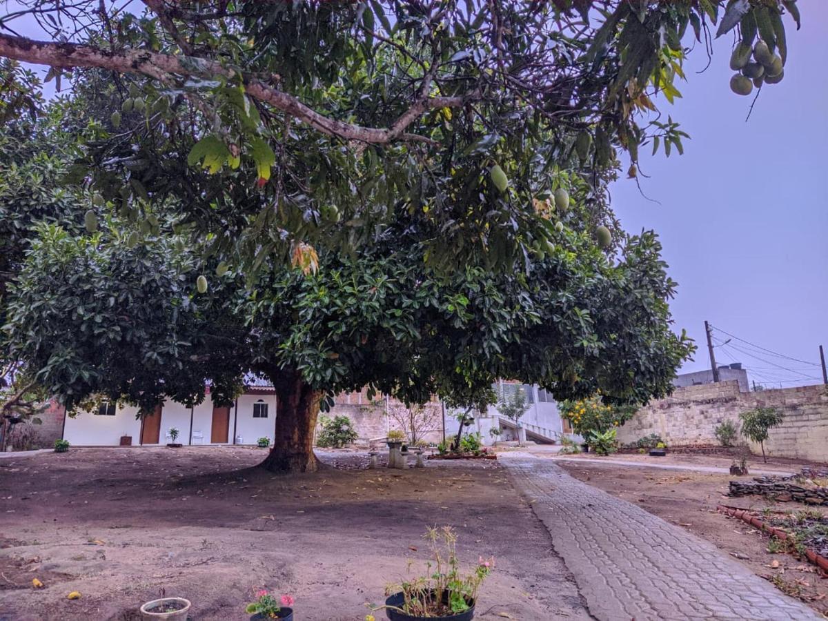 Pousada Viana Garanhuns Extérieur photo